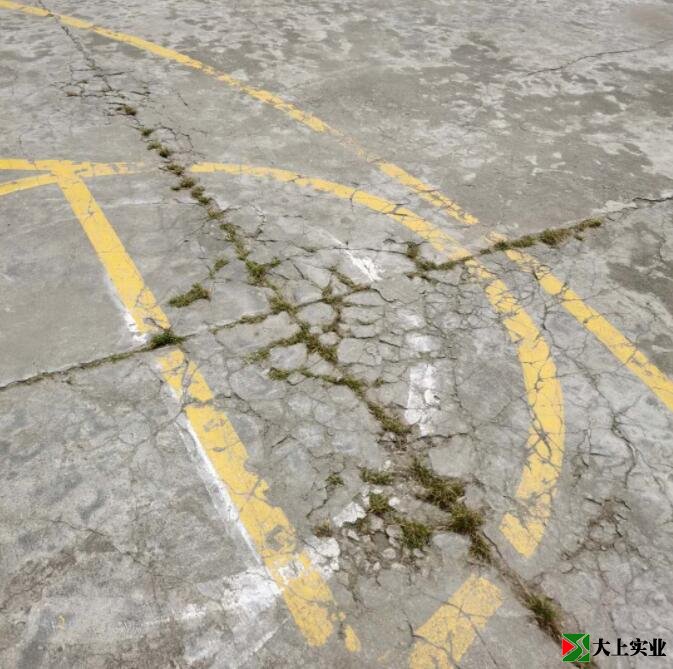 籃球場地面已開裂，并長出雜草。