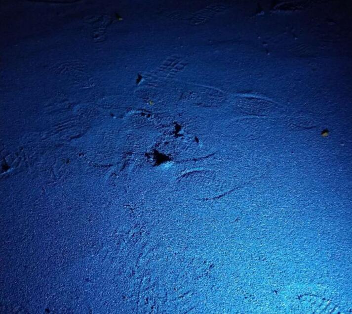 可惡！公園的塑膠跑道施工遭遇不文明行為人